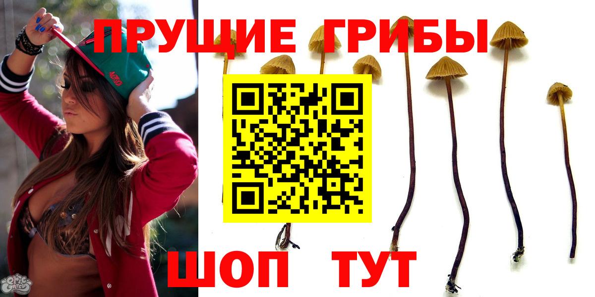 Галлюциногенные грибы Cubensis  Псилоцибиновые грибы Magic Shrooms  Энгельс  наркотики  Вход с VPN 